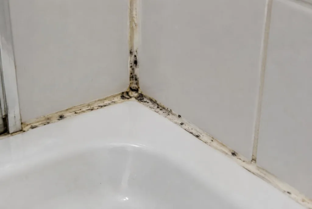 Kitbedrijf Nieuwkoop – beschimmelde kitranden